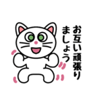 ねこスタンプ白猫 男女兼用（個別スタンプ：23）