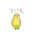 セキセイインコのみどぱんちゃん（個別スタンプ：11）