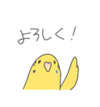 セキセイインコのみどぱんちゃん（個別スタンプ：36）