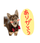 さくらKIDS♡（個別スタンプ：7）
