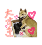さくらKIDS♡（個別スタンプ：9）