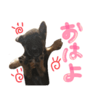 さくらKIDS♡（個別スタンプ：12）