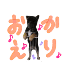 さくらKIDS♡（個別スタンプ：14）