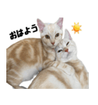 からあげくんとつくねくん3（個別スタンプ：2）