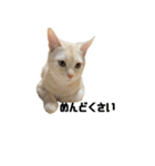 からあげくんとつくねくん3（個別スタンプ：5）