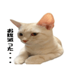 からあげくんとつくねくん3（個別スタンプ：6）