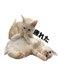 からあげくんとつくねくん3（個別スタンプ：8）