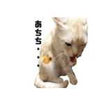 からあげくんとつくねくん3（個別スタンプ：10）