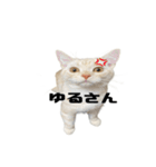 からあげくんとつくねくん3（個別スタンプ：14）