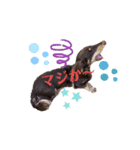 そらまめくんスタンプ（個別スタンプ：3）