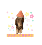 そらまめくんスタンプ（個別スタンプ：9）