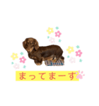 そらまめくんスタンプ（個別スタンプ：10）