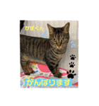 幸せな仲間達（個別スタンプ：11）