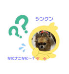 幸せな仲間達（個別スタンプ：21）