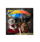 幸せな仲間達（個別スタンプ：23）