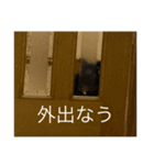ききとストーブ（個別スタンプ：8）