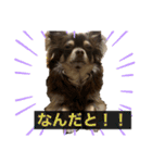 ちくわぶスタンプ❷（個別スタンプ：3）