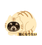 ちくわぶスタンプ❷（個別スタンプ：5）