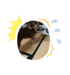 ちくわぶスタンプ❷（個別スタンプ：9）