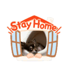 ちくわぶスタンプ❷（個別スタンプ：15）