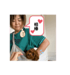 大澤こむぎの会話スタンプ（個別スタンプ：3）