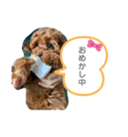 大澤こむぎの会話スタンプ（個別スタンプ：15）