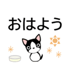 犬好きシニアにオススメ★日常使いスタンプ（個別スタンプ：1）