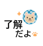 犬好きシニアにオススメ★日常使いスタンプ（個別スタンプ：4）