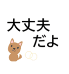 犬好きシニアにオススメ★日常使いスタンプ（個別スタンプ：10）