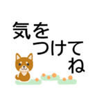 犬好きシニアにオススメ★日常使いスタンプ（個別スタンプ：15）