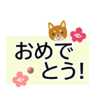 犬好きシニアにオススメ★日常使いスタンプ（個別スタンプ：19）