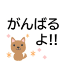 犬好きシニアにオススメ★日常使いスタンプ（個別スタンプ：20）