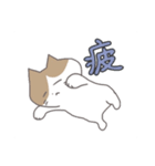 愛猫ぽんちゃんの日常スタンプ（個別スタンプ：6）