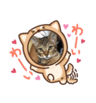 さくま5（個別スタンプ：1）