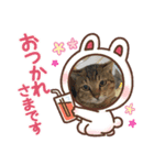 さくま5（個別スタンプ：3）