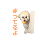 おっけーのまる（個別スタンプ：2）