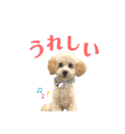 おっけーのまる（個別スタンプ：3）