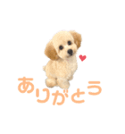 おっけーのまる（個別スタンプ：4）