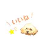 おっけーのまる（個別スタンプ：8）