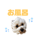 おっけーのまる（個別スタンプ：13）