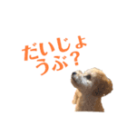 おっけーのまる（個別スタンプ：14）
