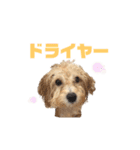 おっけーのまる（個別スタンプ：15）