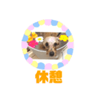 おっけーのまる（個別スタンプ：16）
