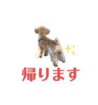 おっけーのまる（個別スタンプ：18）