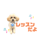 おっけーのまる（個別スタンプ：19）