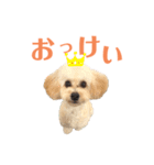 おっけーのまる（個別スタンプ：20）