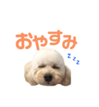 おっけーのまる（個別スタンプ：21）