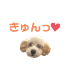 おっけーのまる（個別スタンプ：22）