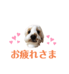 おっけーのまる（個別スタンプ：23）
