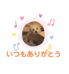 おっけーのまる（個別スタンプ：24）